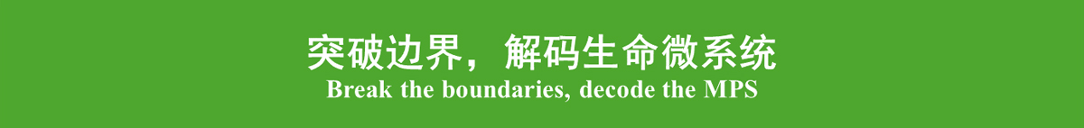 口号-中文网站.jpg
